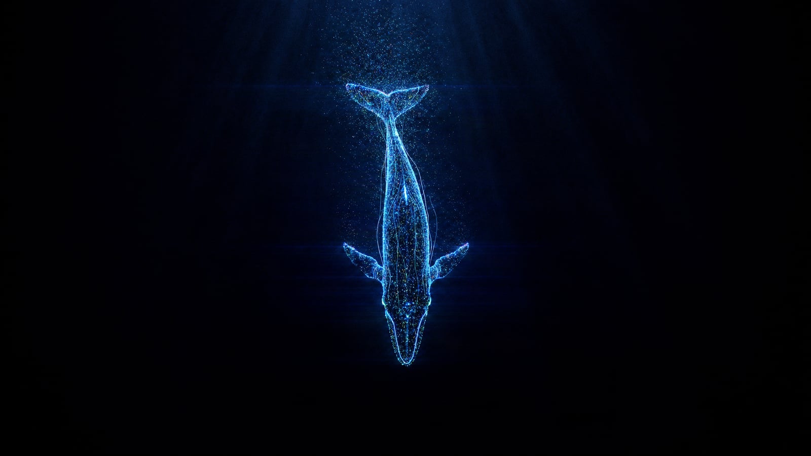 La ballena de luz se pierde en lo profundo